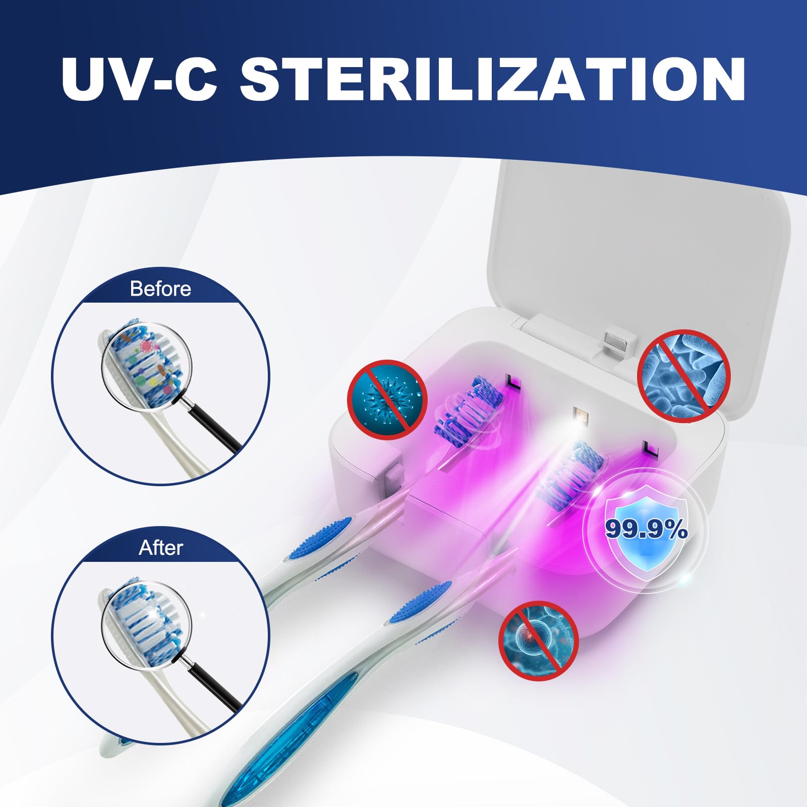 Wall-mounted toothbrush case design with back adhesive