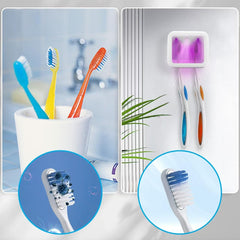 Mini portable toothbrush holder suitable for electric and manual heads