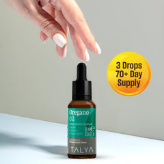 Oregano oil extraction and distillation setup