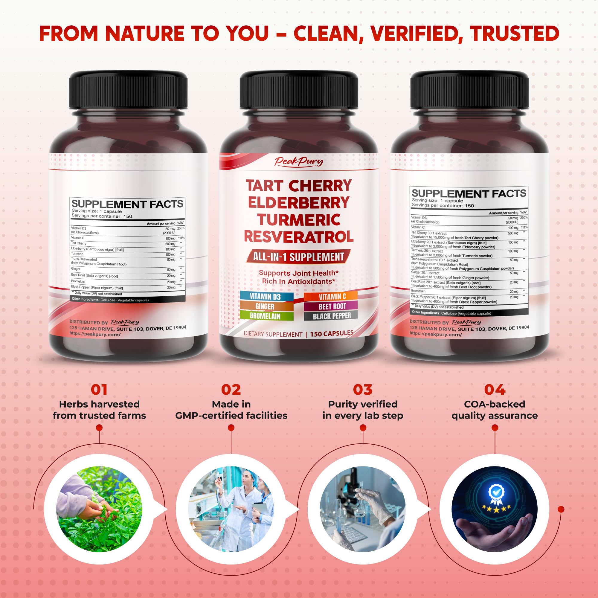 Close-up of glossy Tart Cherry Elderberry Turmeric Resveratrol capsules in bottle