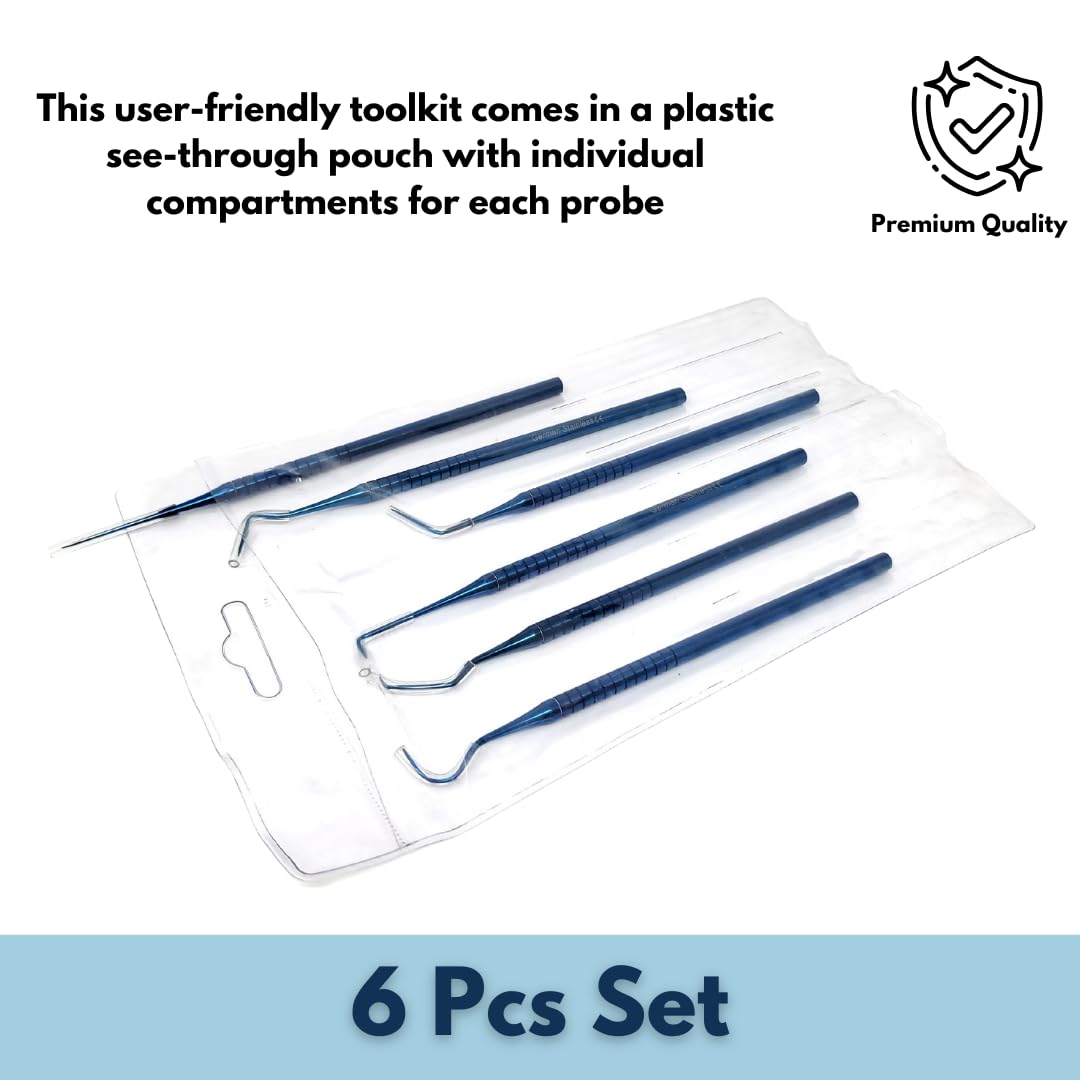 Tartar remover and plaque remover dental tools