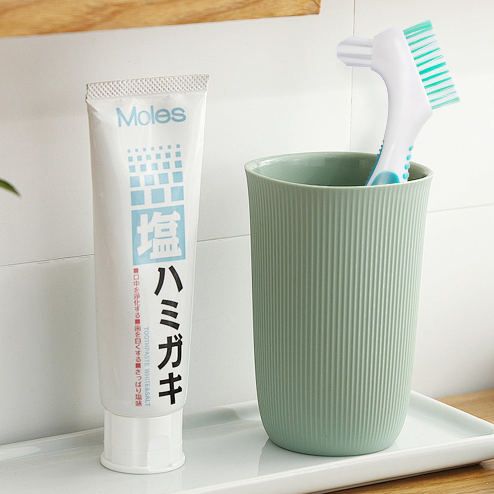 Dual-ended denture brush for comprehensive cleaning