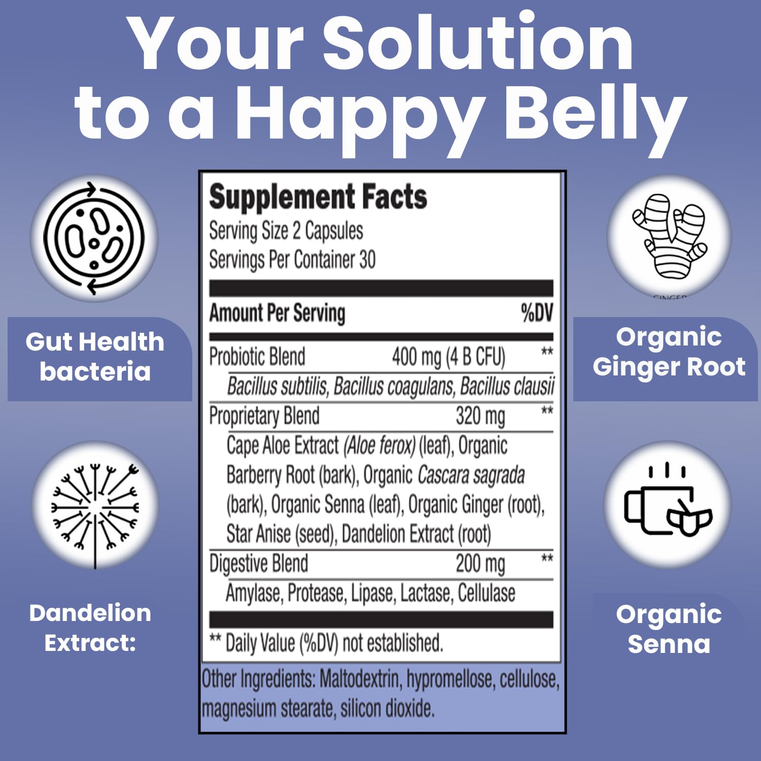 Close-up of Teami Bloat Banish capsule pack