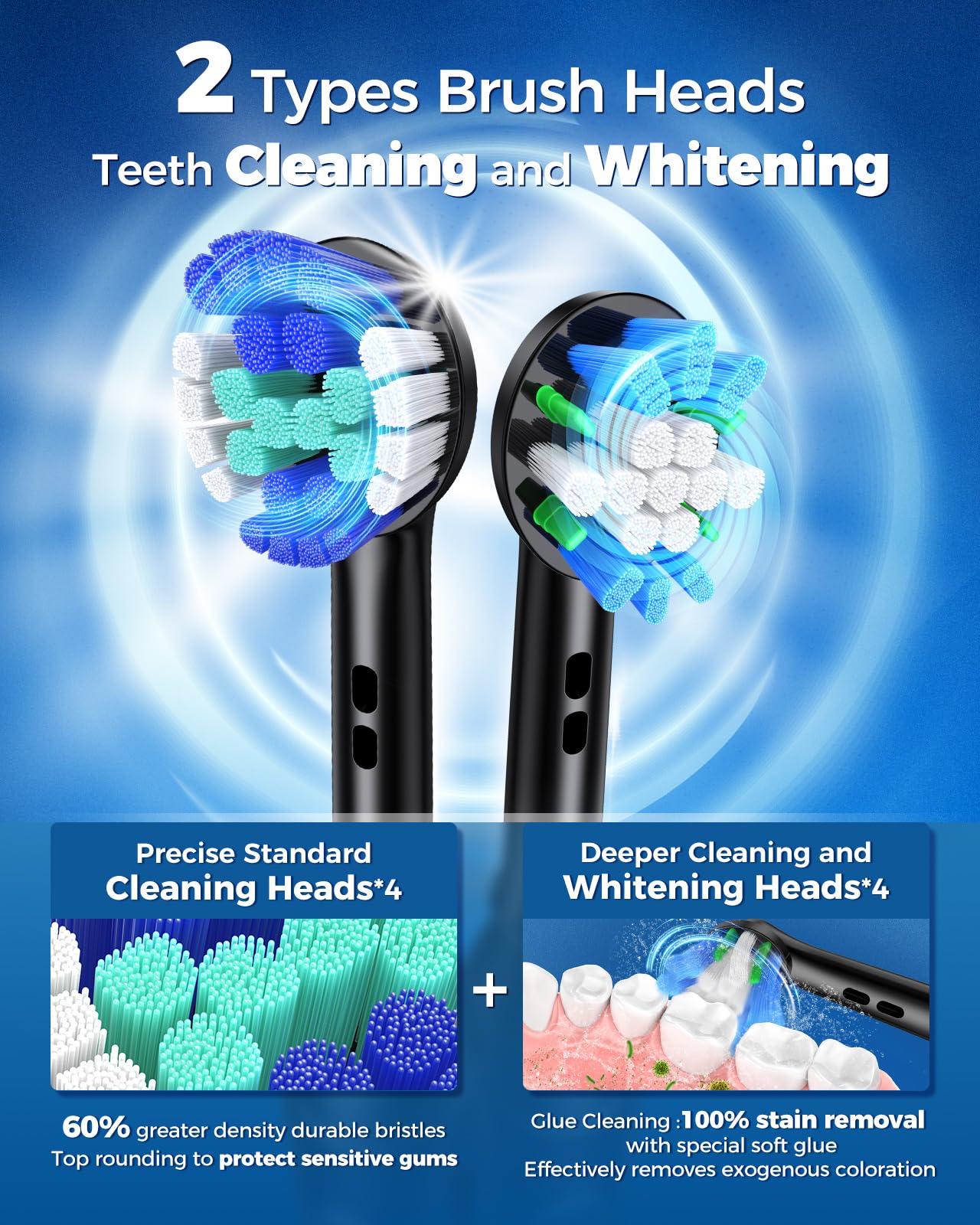Eight included DuPont brush heads for long-lasting use