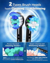 Eight included DuPont brush heads for long-lasting use
