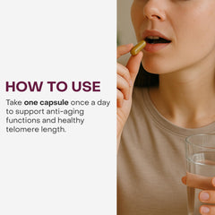 Graphic depicting telomere length and DNA repair
