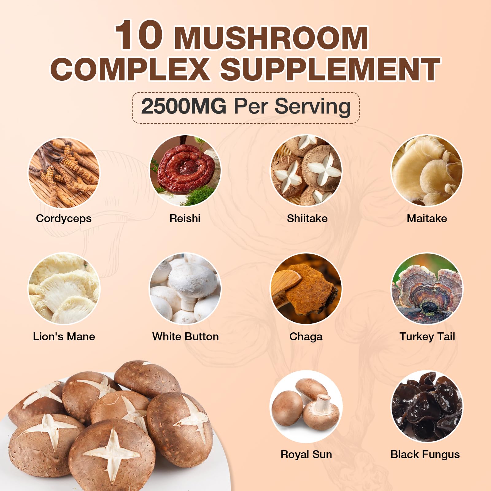 Label showing ten-mushroom complex ingredients