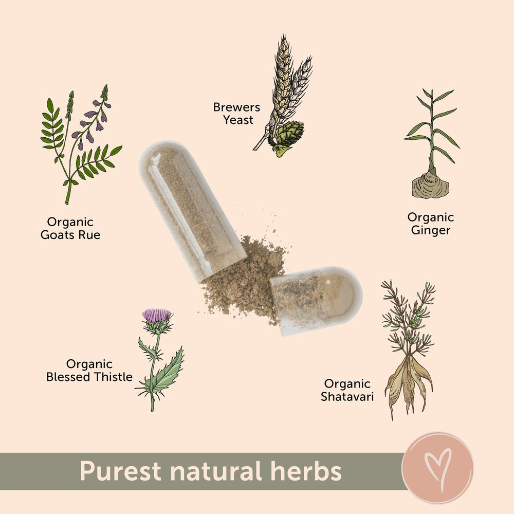 Organic Shatavari and Lion's Mane in TenderMa Elevate capsules