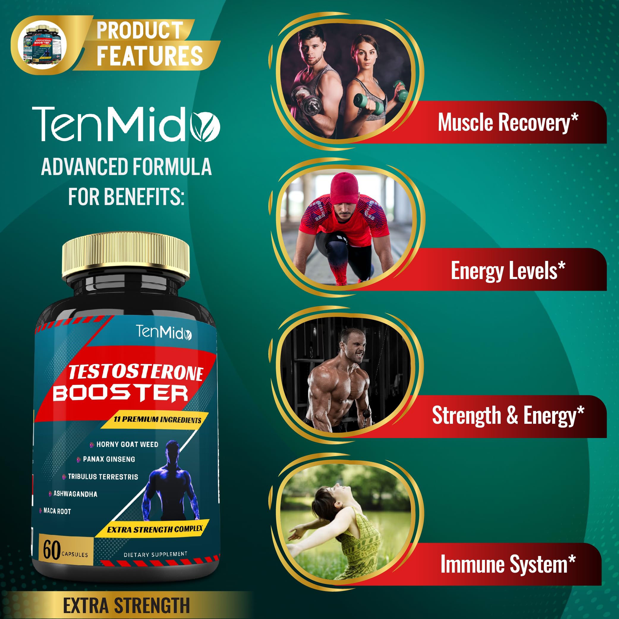 Tenmido ashwagandha herb image suggests calm energy and balanced daytime stamina.