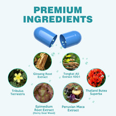Close-up of Teoxalqo nutrition supplement capsule and energy-boosting formula