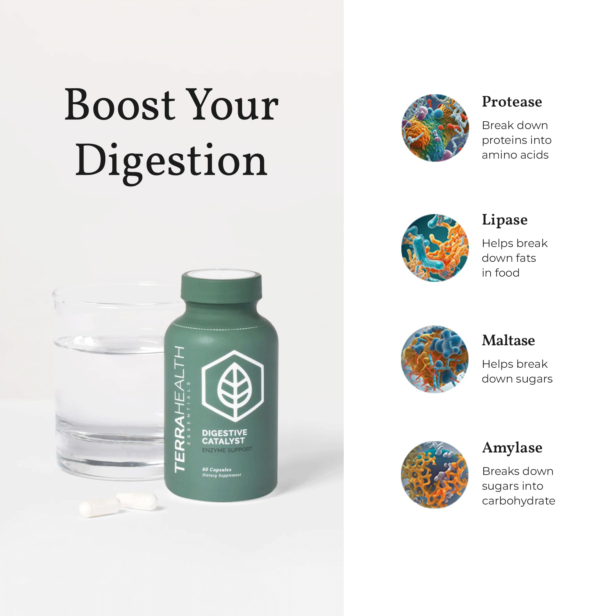 Digestive Catalyst packaging featuring 60 capsules