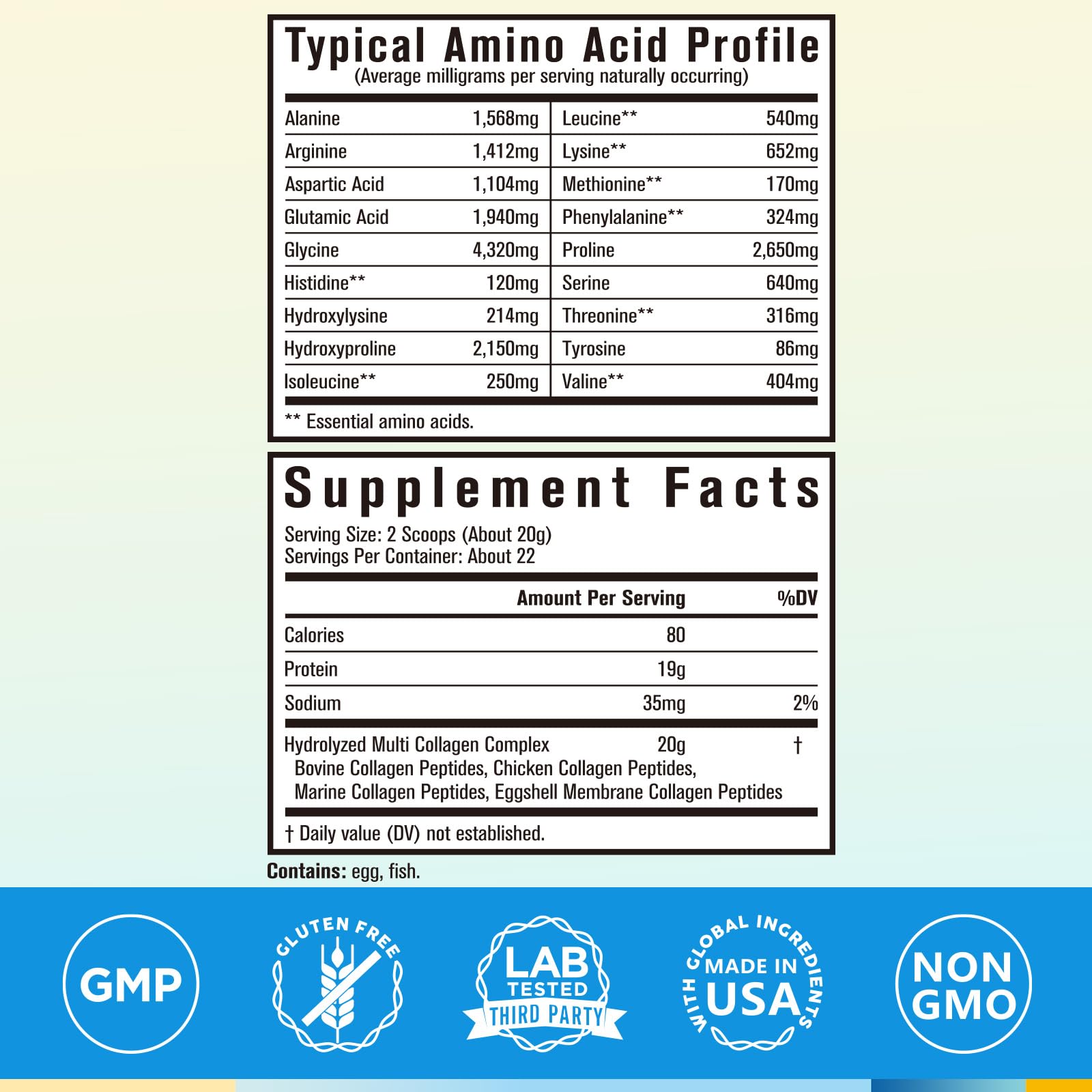 Five collagen types I II III V X