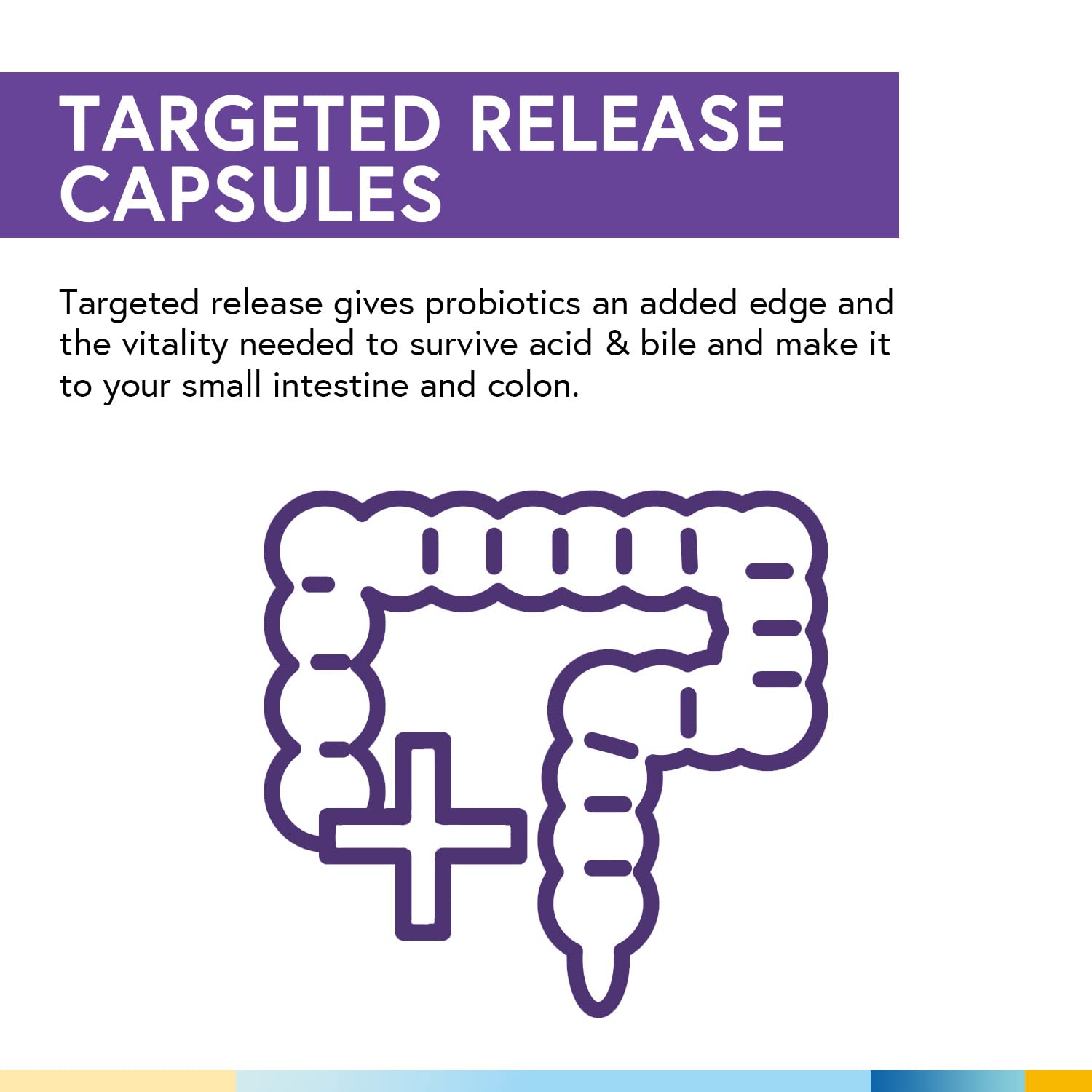 Made in USA GMP-certified facility badge