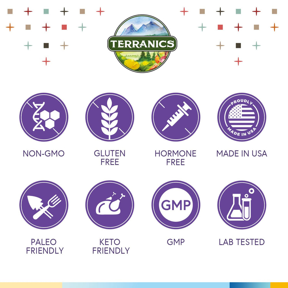 Concept image of gut health and immune support