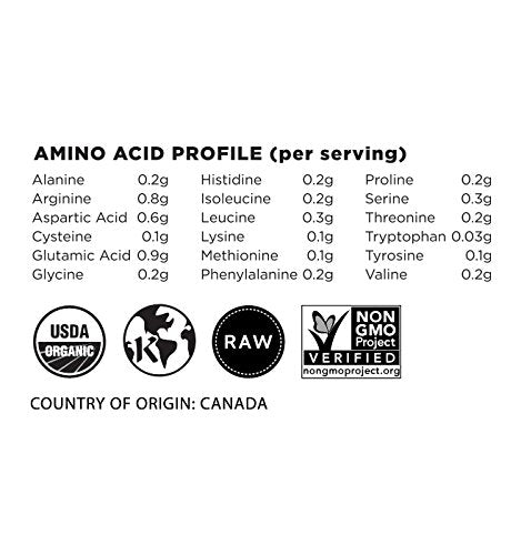Terrasoul hemp protein powder served in bowl highlights protein-rich breakfast ideas