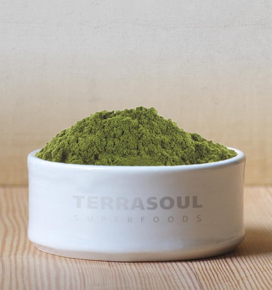 Terrasoul hemp protein powder scoop demonstrates easy measuring for workouts and recipes