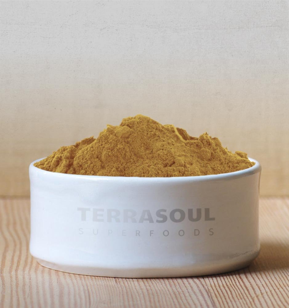 Terrasoul Lion's Mane powder packaging and 5.5 oz jar