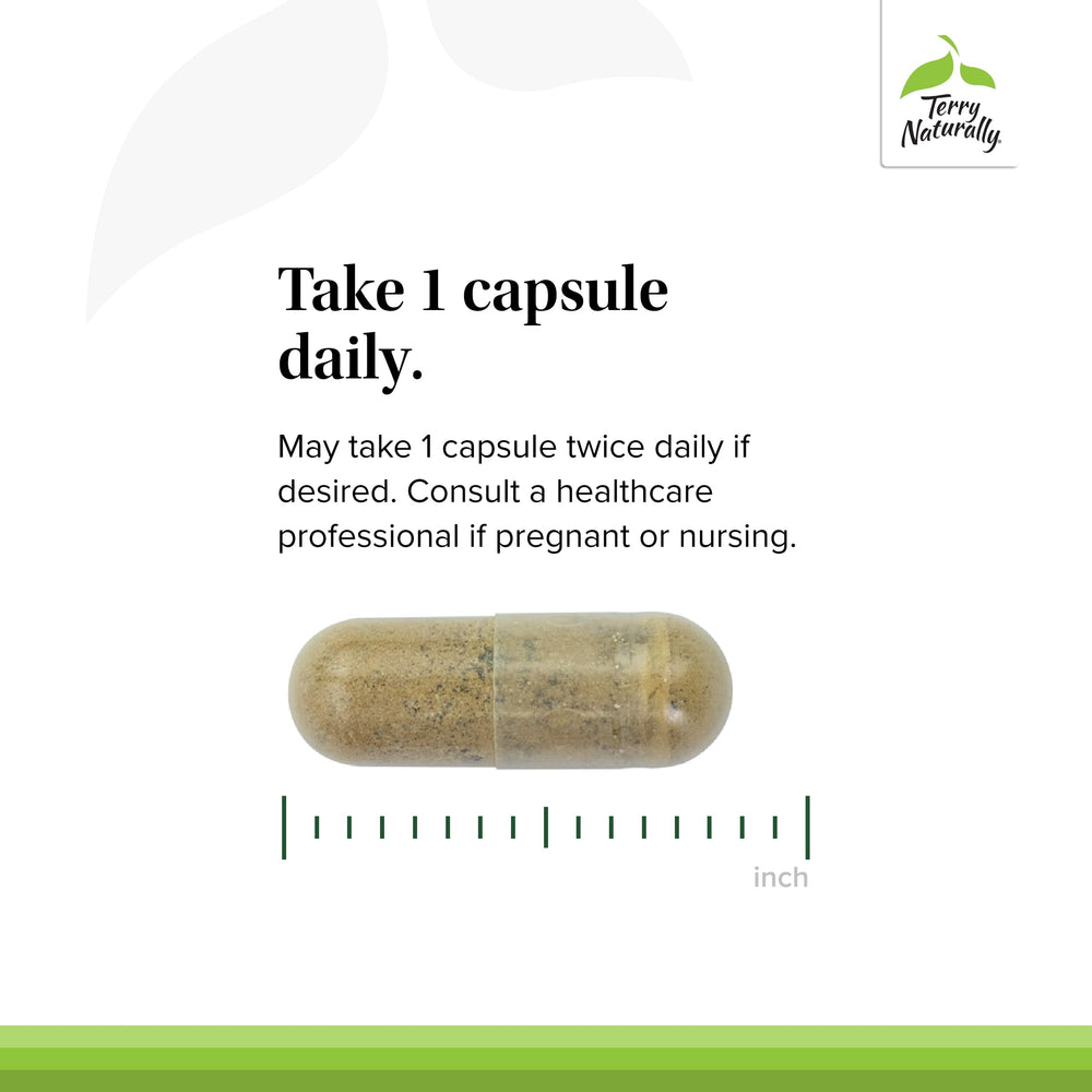 Herbal energy support supplement capsules with natural packaging