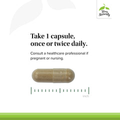 Lifestyle image representing sleep support concept