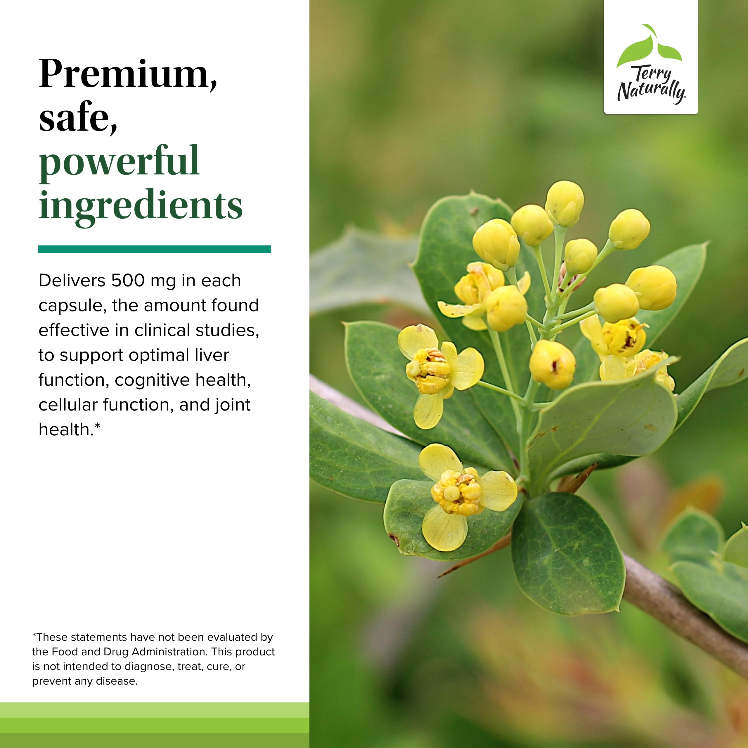Ingredient list and supplement facts for Terry Naturally Berberine