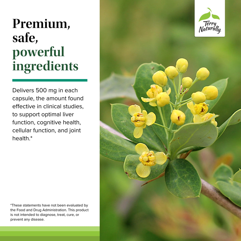Ingredient list and supplement facts for Terry Naturally Berberine