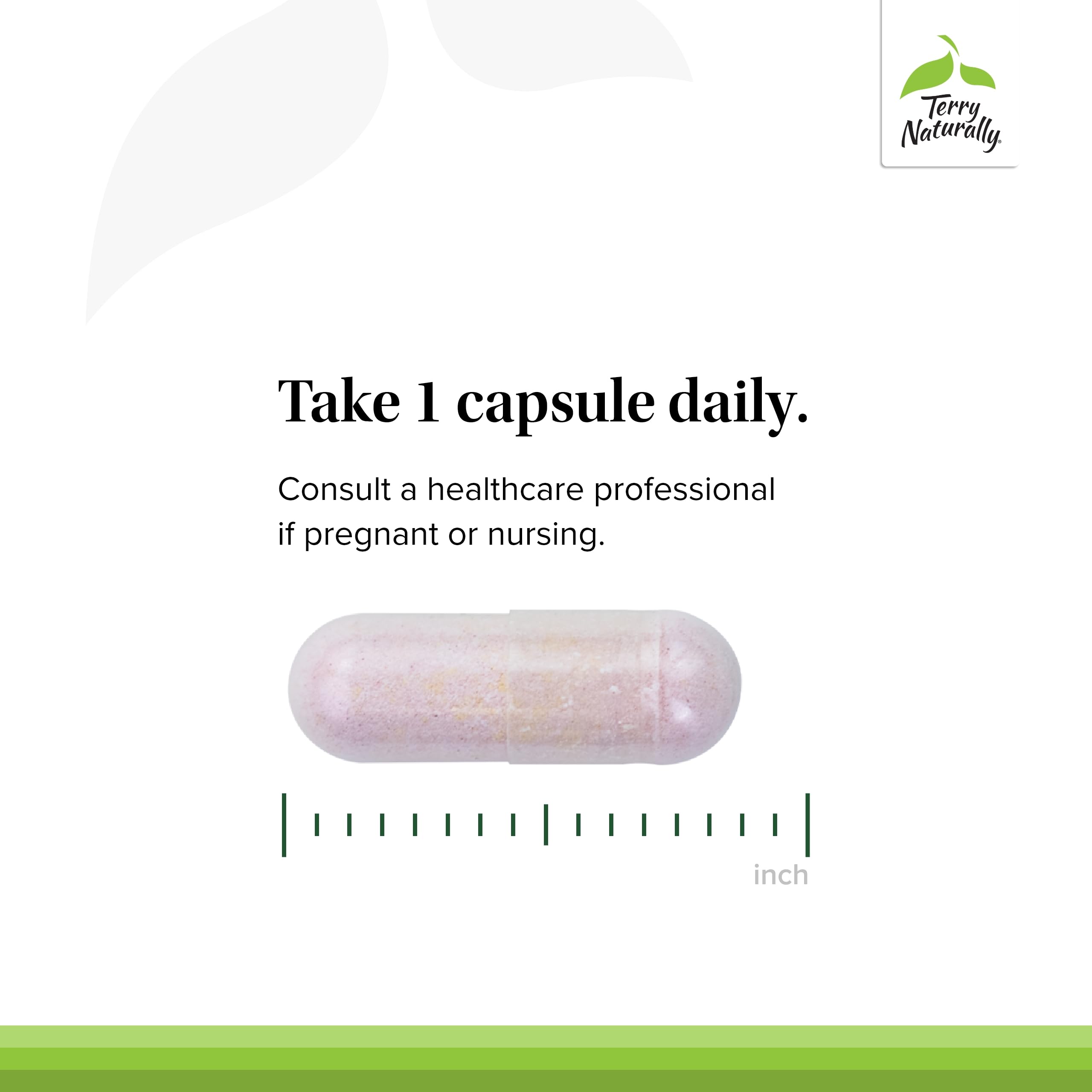 P-5-P folate for nervous system support