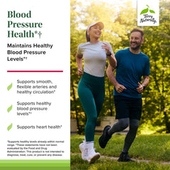 Healthy arteries and circulation illustration