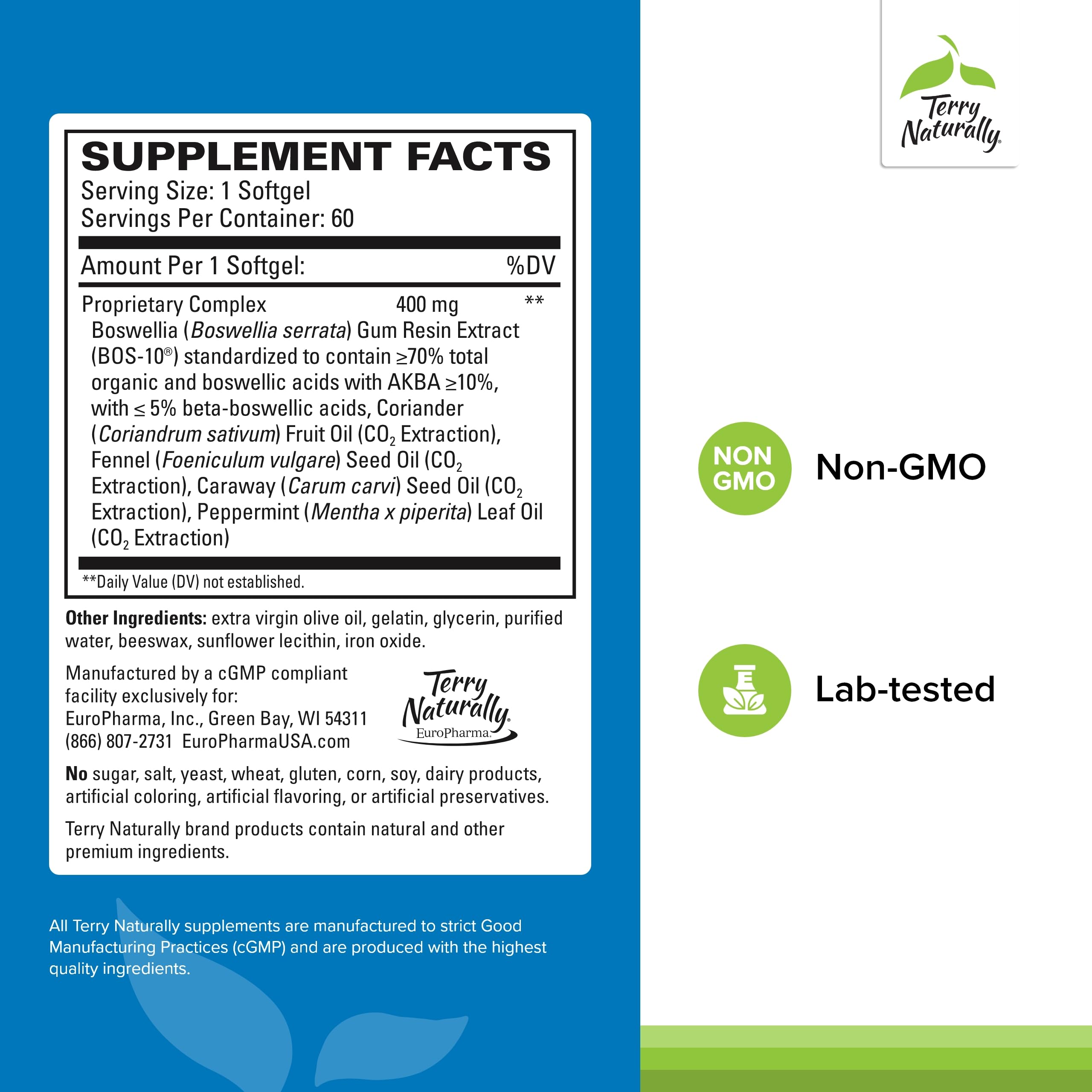 Herbal ingredients coriander, fennel, caraway, and peppermint illustration