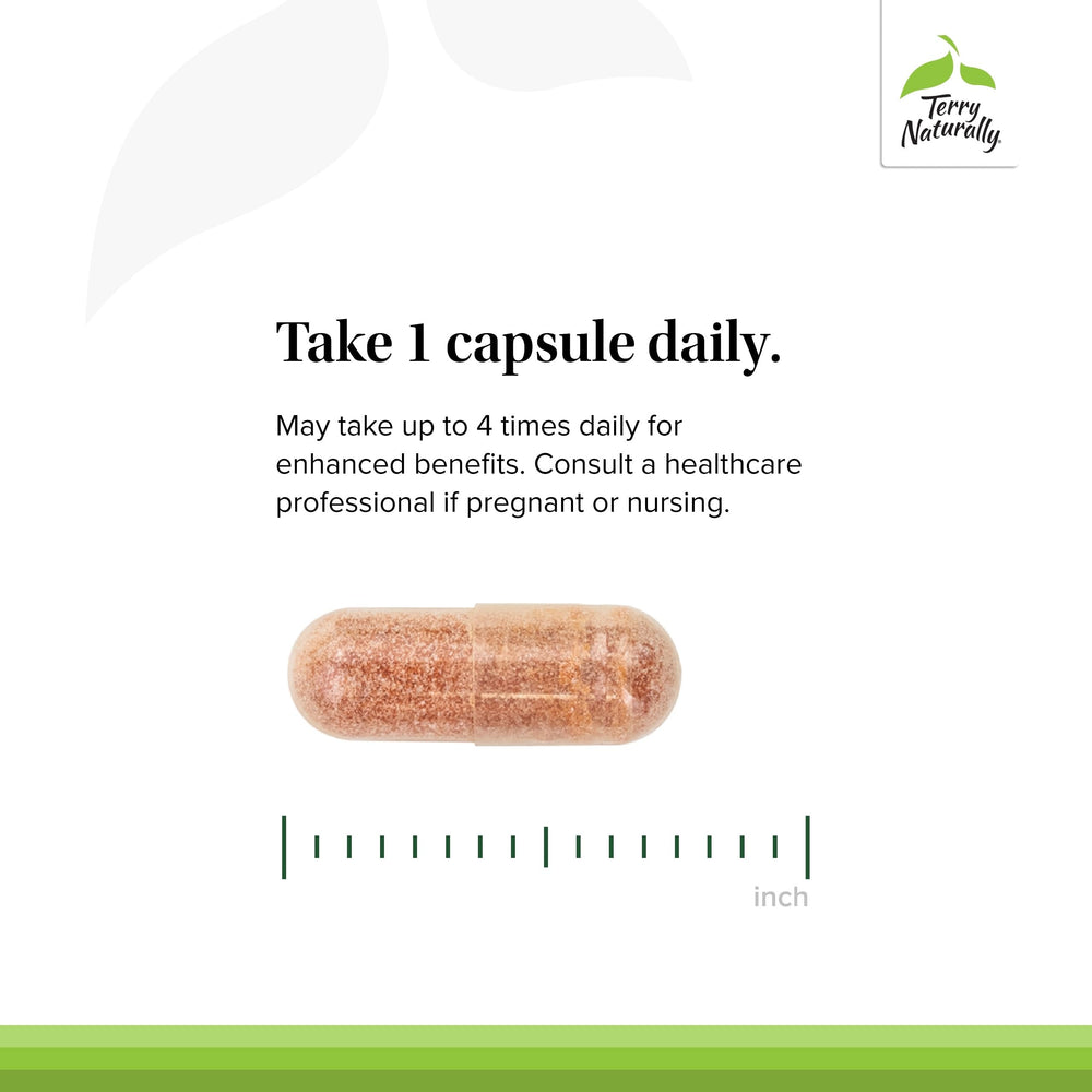 Ingredients chart for Clinical OPC including grape seed extract and sunflower lecithin