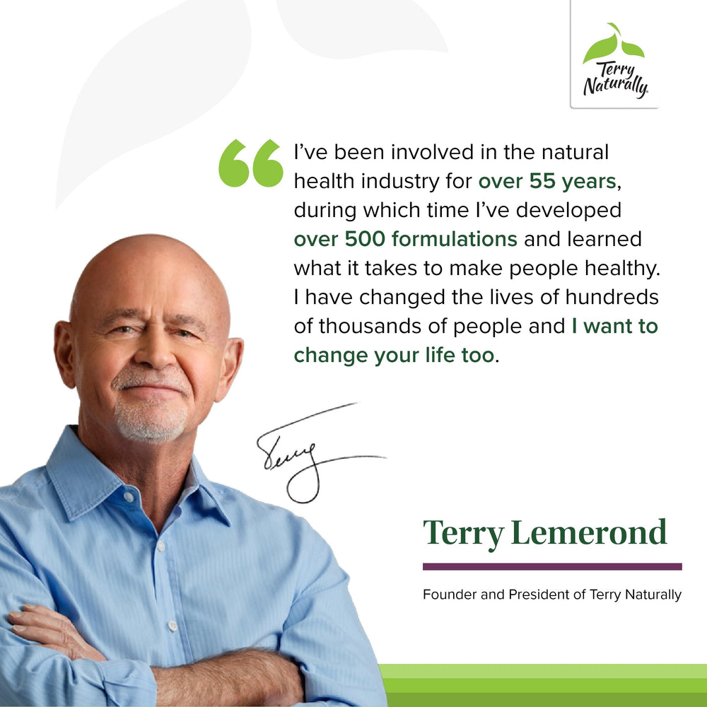Sunflower lecithin illustration highlighting absorption benefits