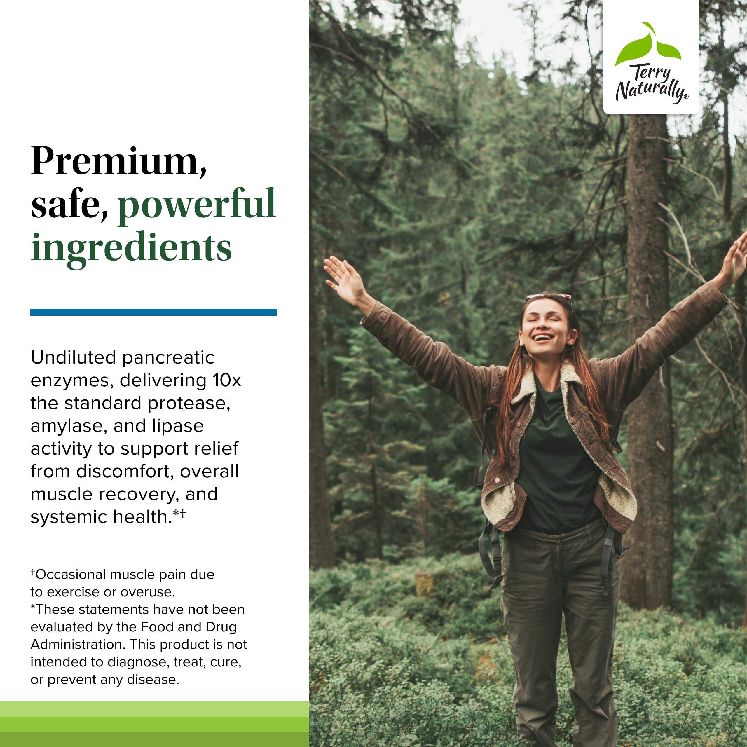 Contains plant and animal enzymes including pancreatin, papain, and bromelain