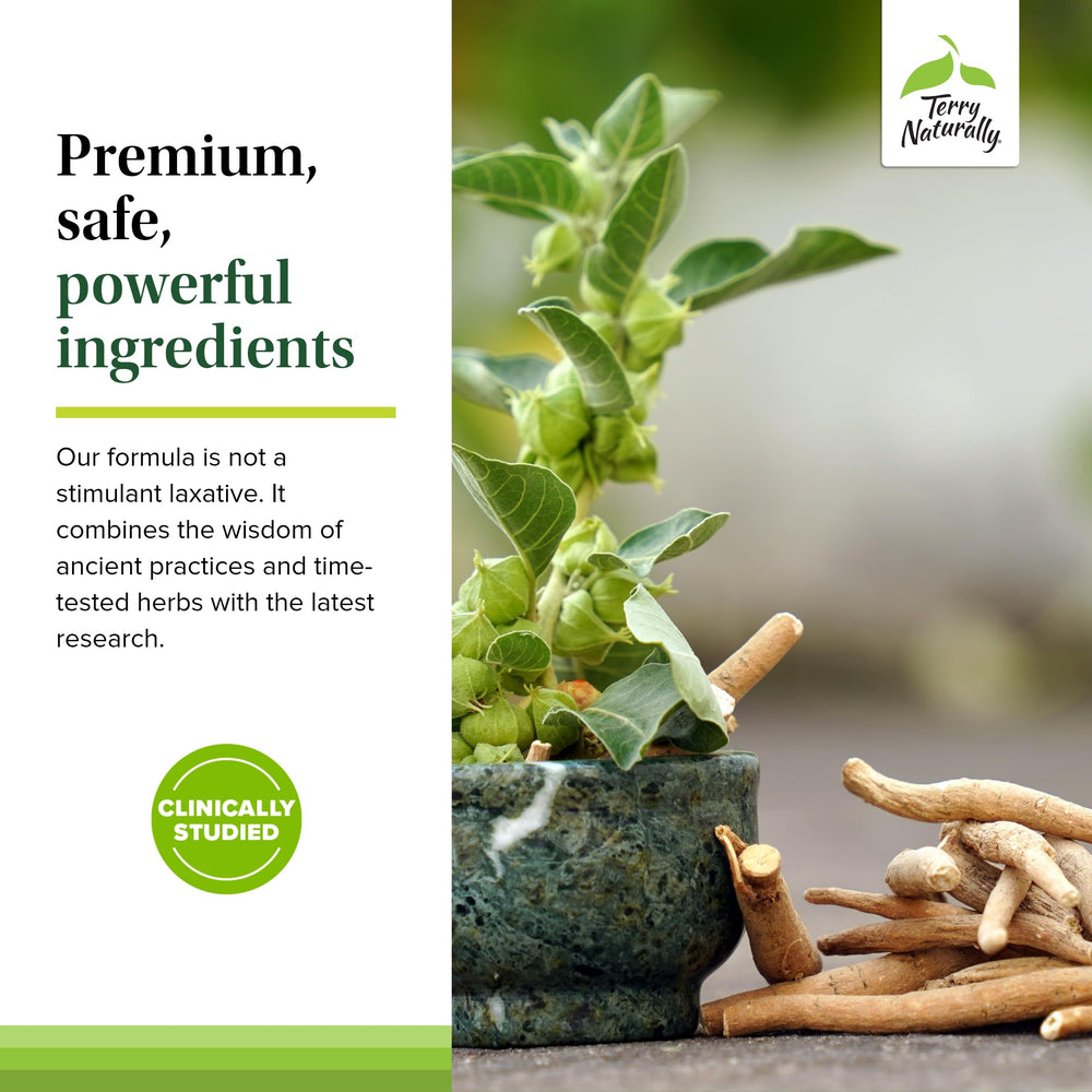 Concept image highlighting regularity with Terry Naturally Digestive Formula