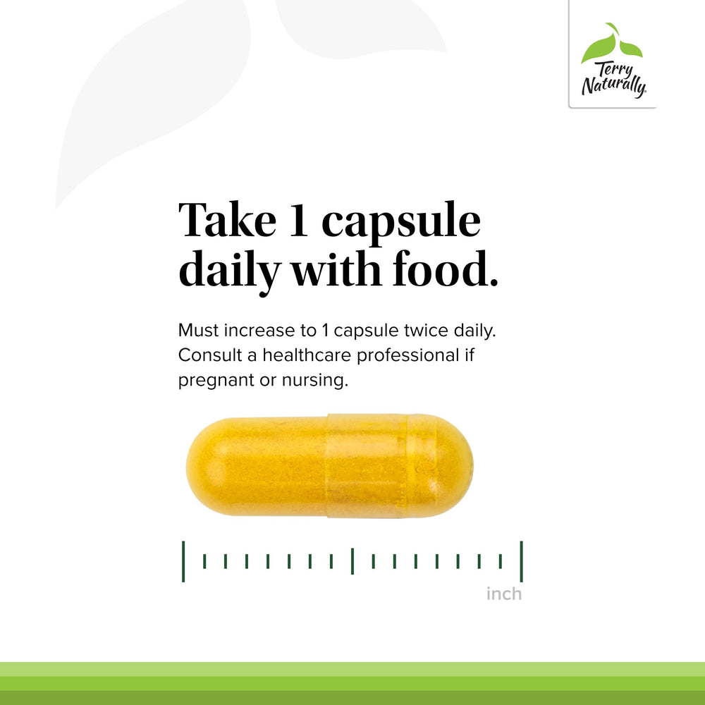 Front packaging of Terry Naturally DIM Complex showing 60 capsules