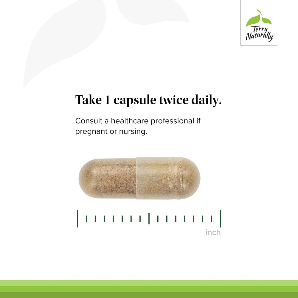 French grape seed extract ingredient visualization