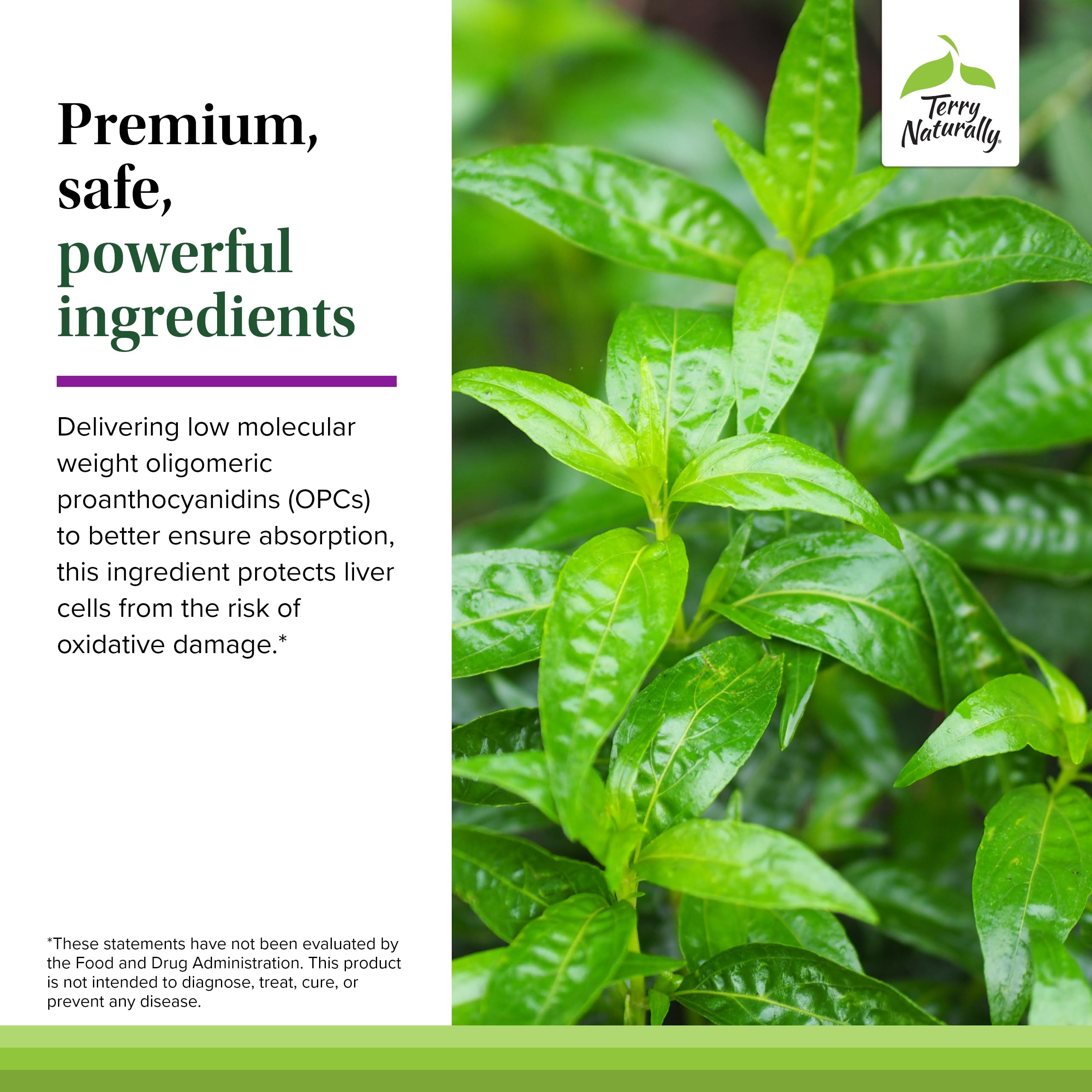 Gluten-free and non-GMO certification icons on packaging