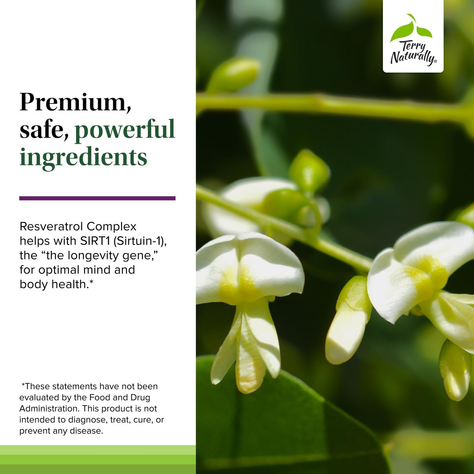 Icons indicating vegan, gluten-free, and non-GMO attributes