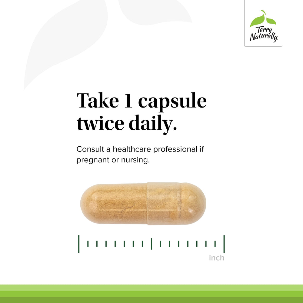 Close-up image of RHX5 rosehip-based ingredient representing traditional botanical support