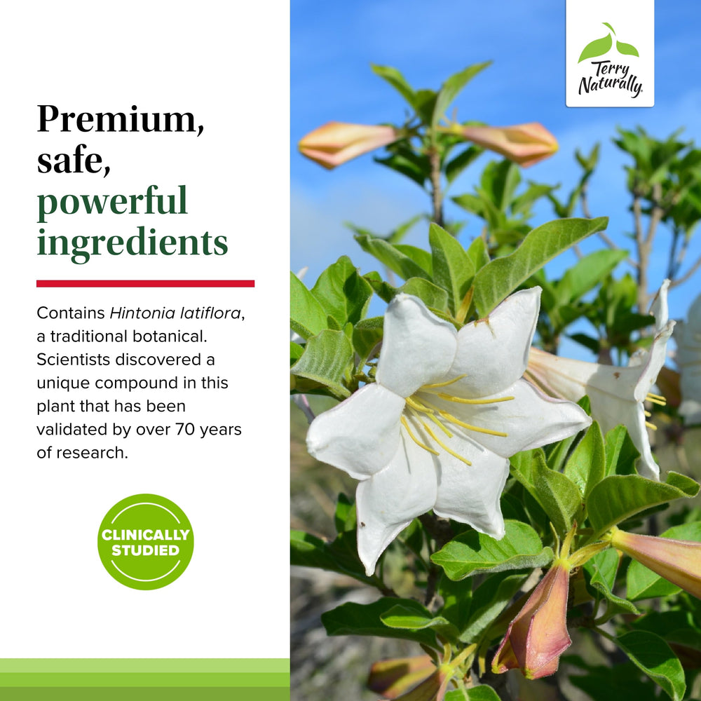 Vegan allergen-friendly capsules of Sucontral D
