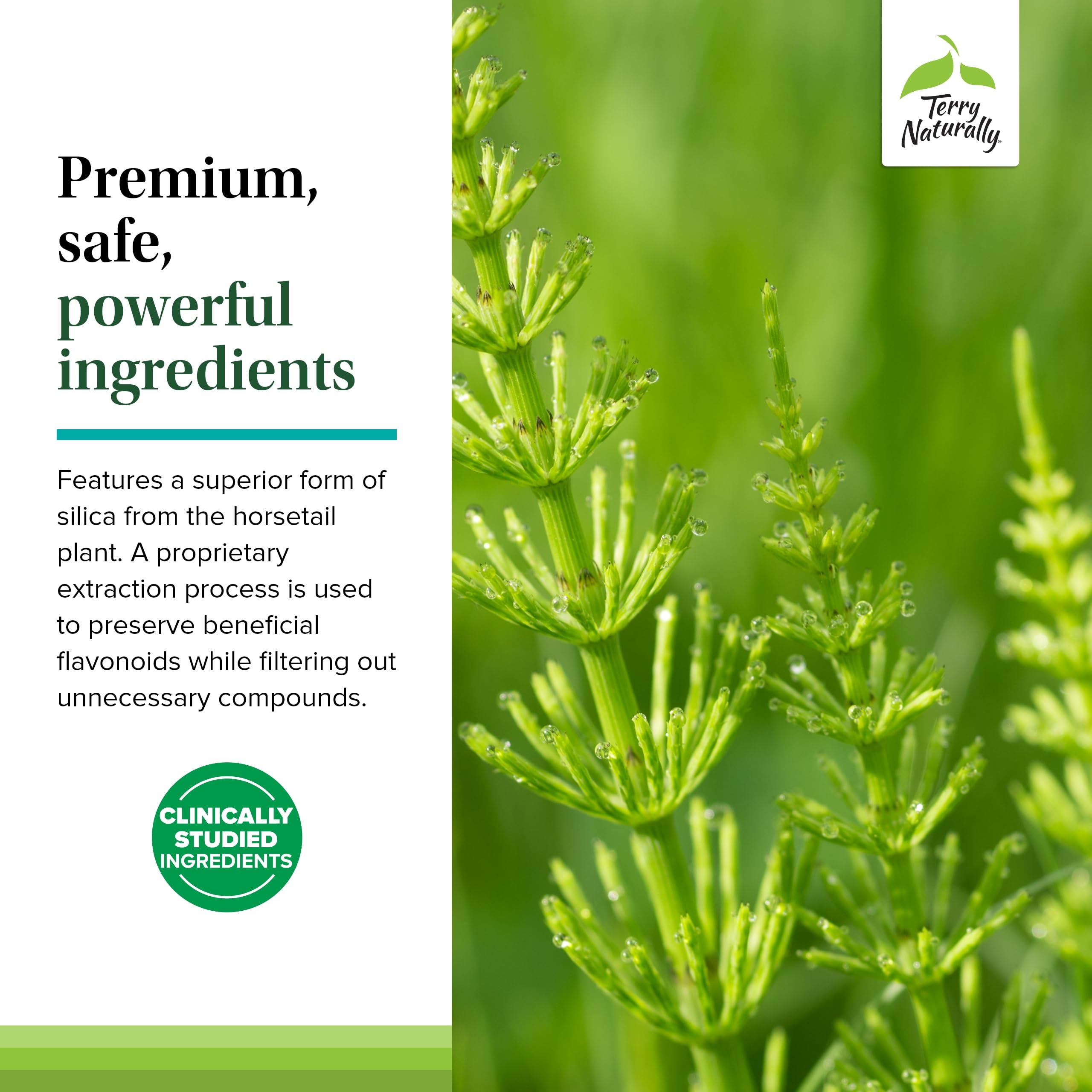 Person taking Silica-20 tablets for daily wellness