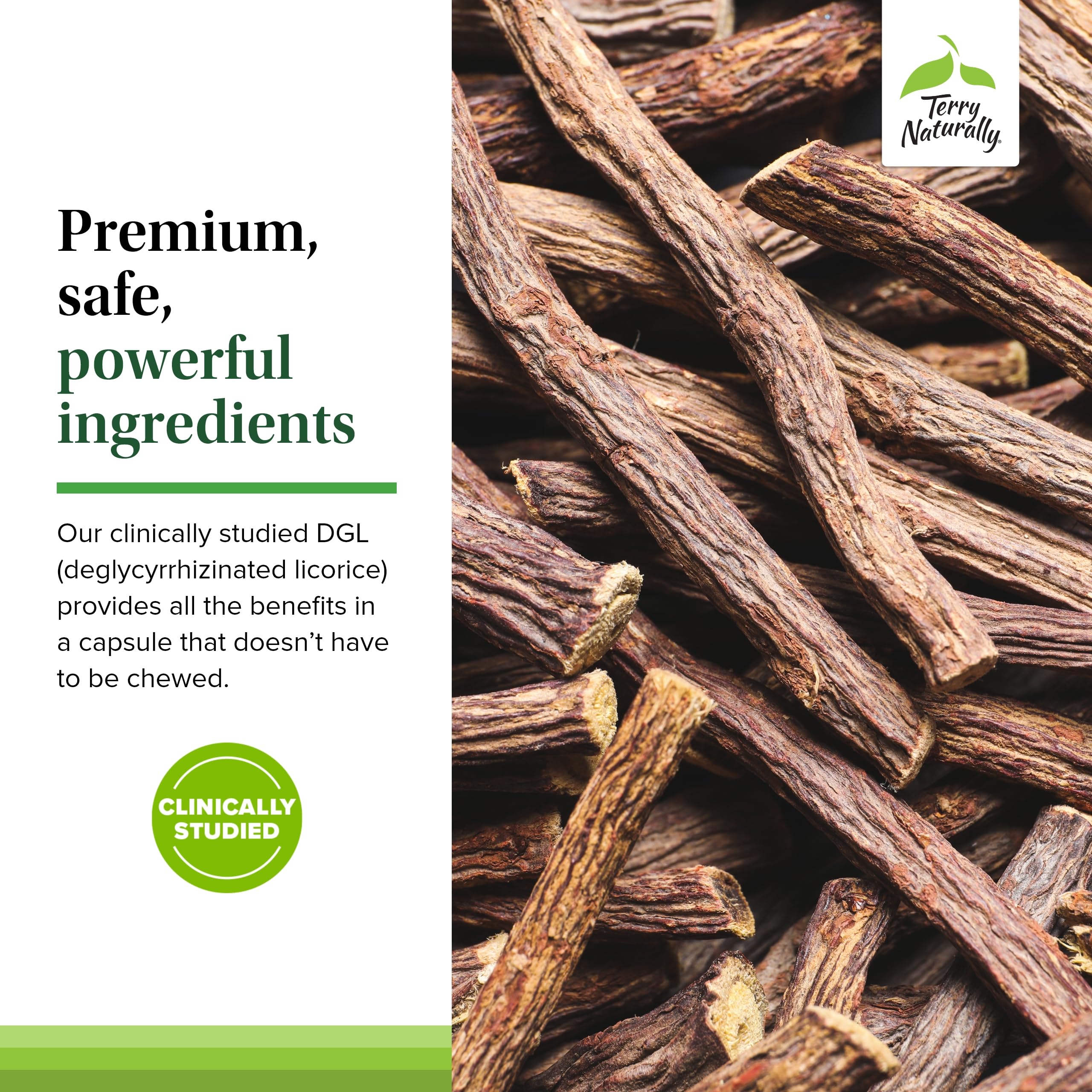 Icon representing non-GMO and third-party tested certification
