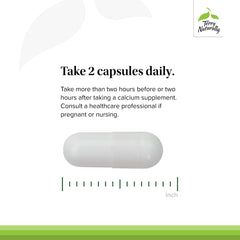 Illustration highlighting strontium citrate absorption