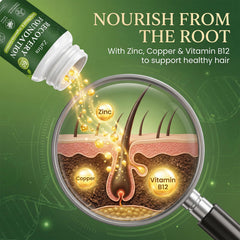 TESTOGREENS MAX ginger root image illustrating digestive comfort support