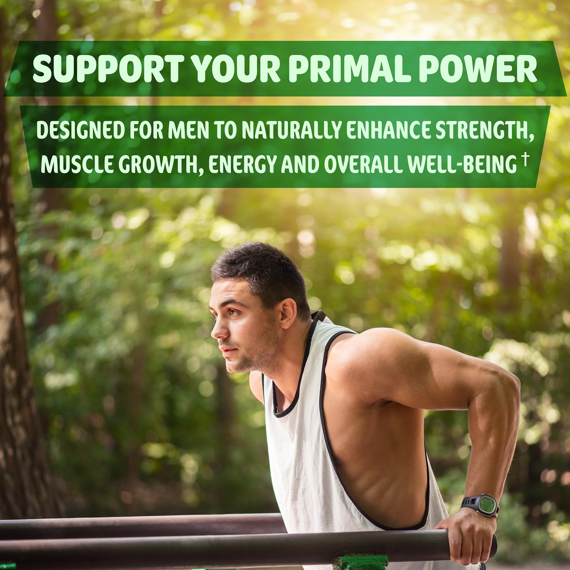 Panax Ginseng contributing to energy and stamina