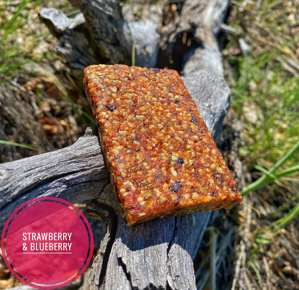Close-up of The Every Bar Strawberry Blueberry bar