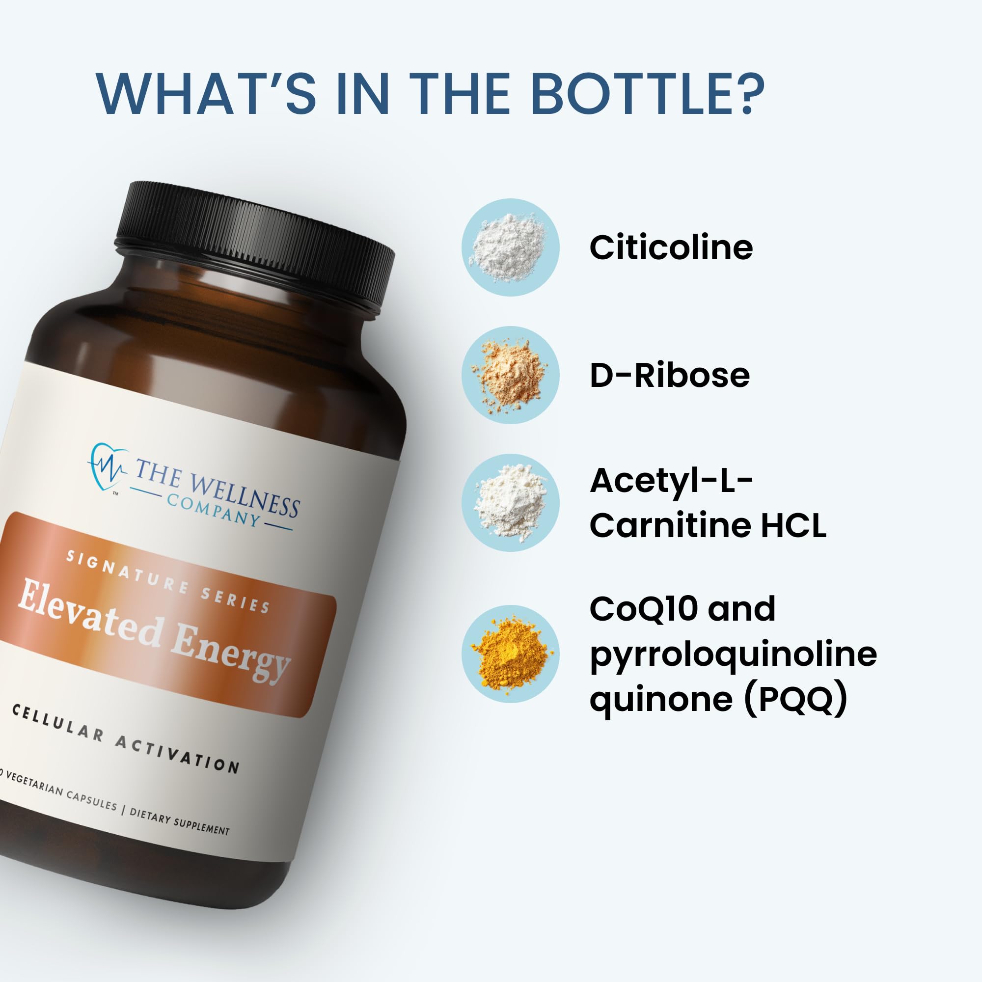 Citicoline support for memory function in the Elevated Energy supplement