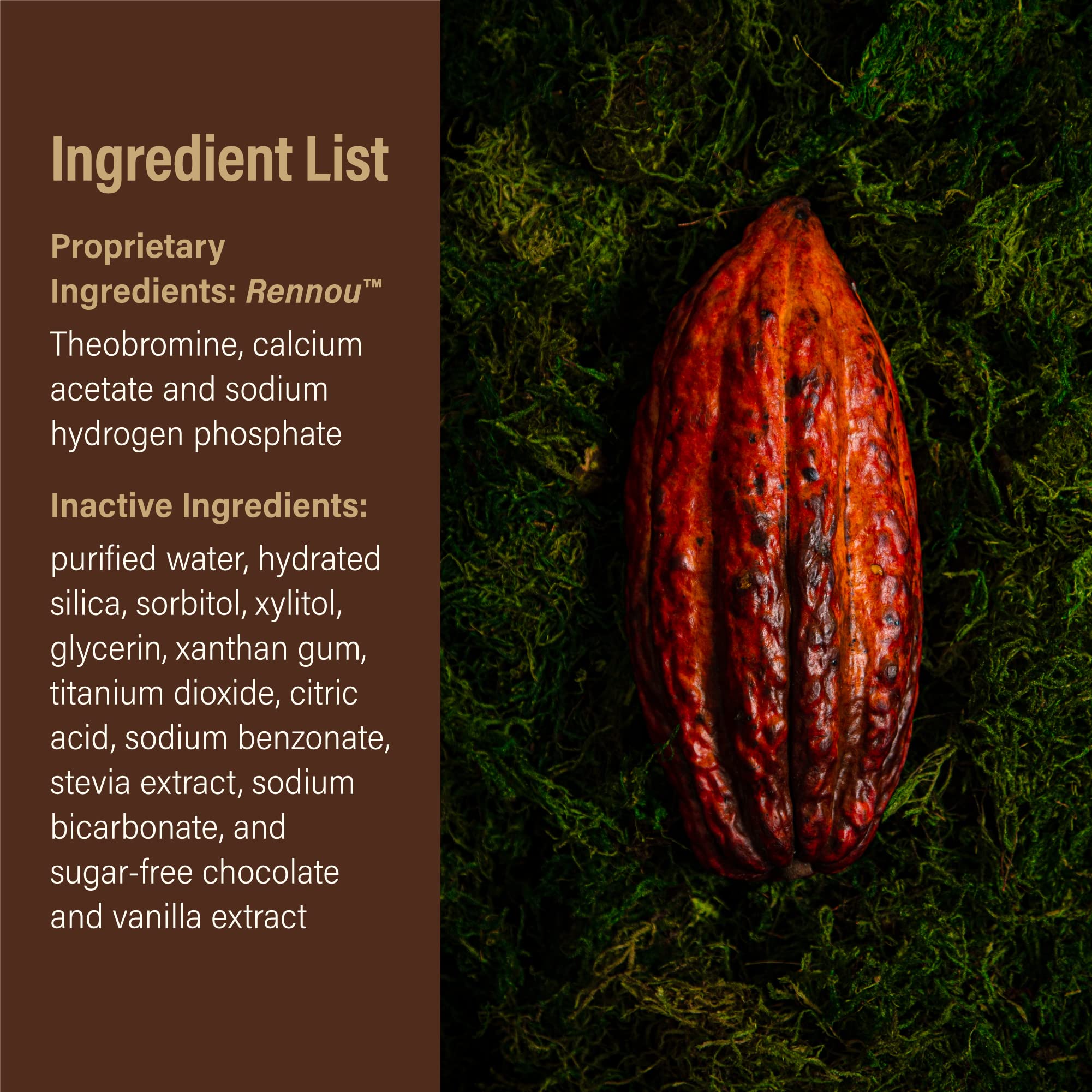 Theodent logo with chocolate imagery