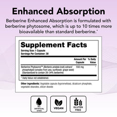 Close-up of Berberine Phytosome formulation for enhanced absorption