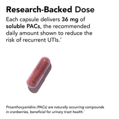 Label showing 500 mg cranberry per capsule