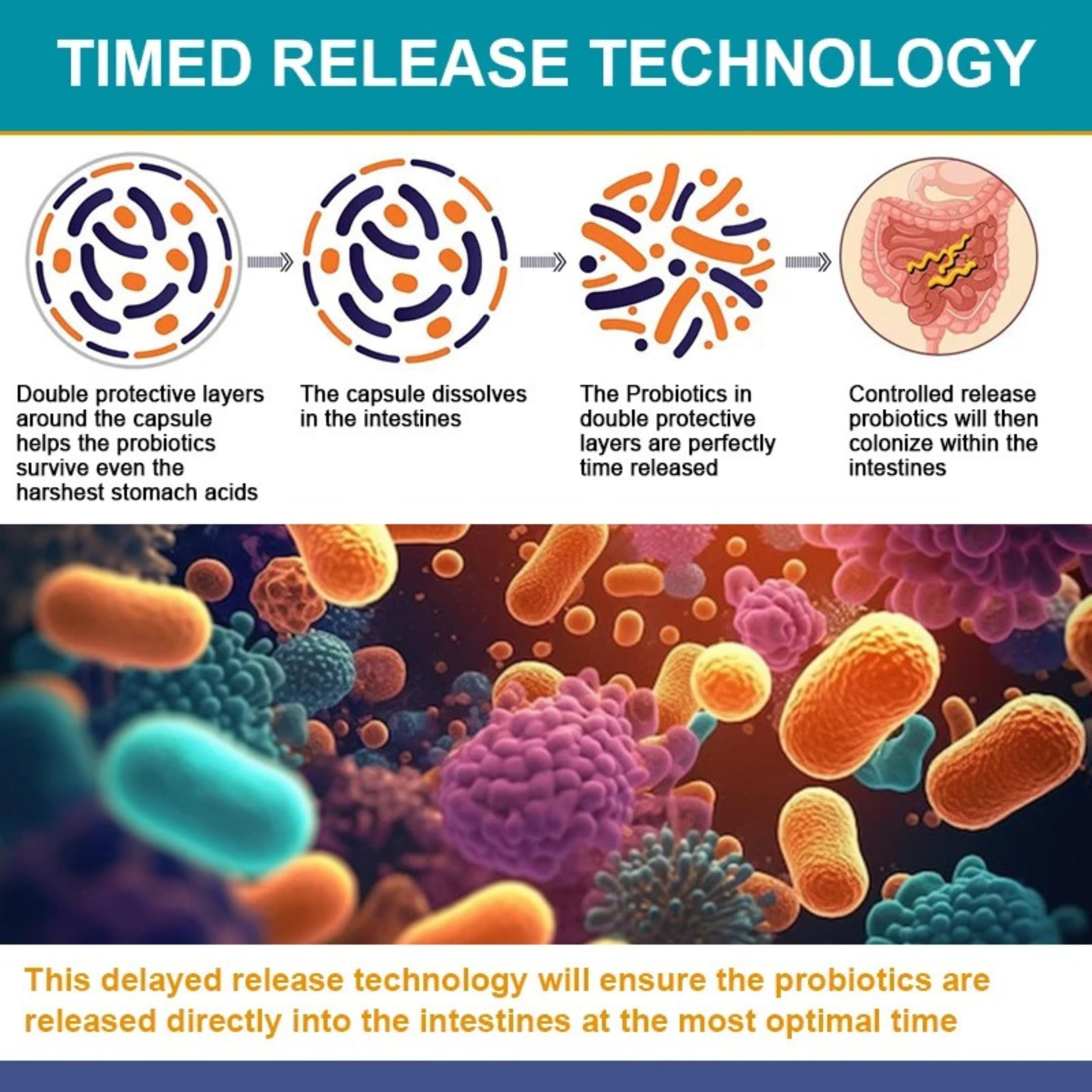 Fruit & Veggie Complex graphic supporting immune health
