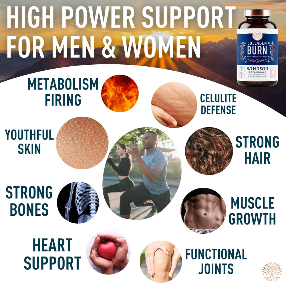 Graphic showing collagen types I, II, III, V and X